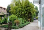 L’Orto Botanico dell’Università di Ferrara